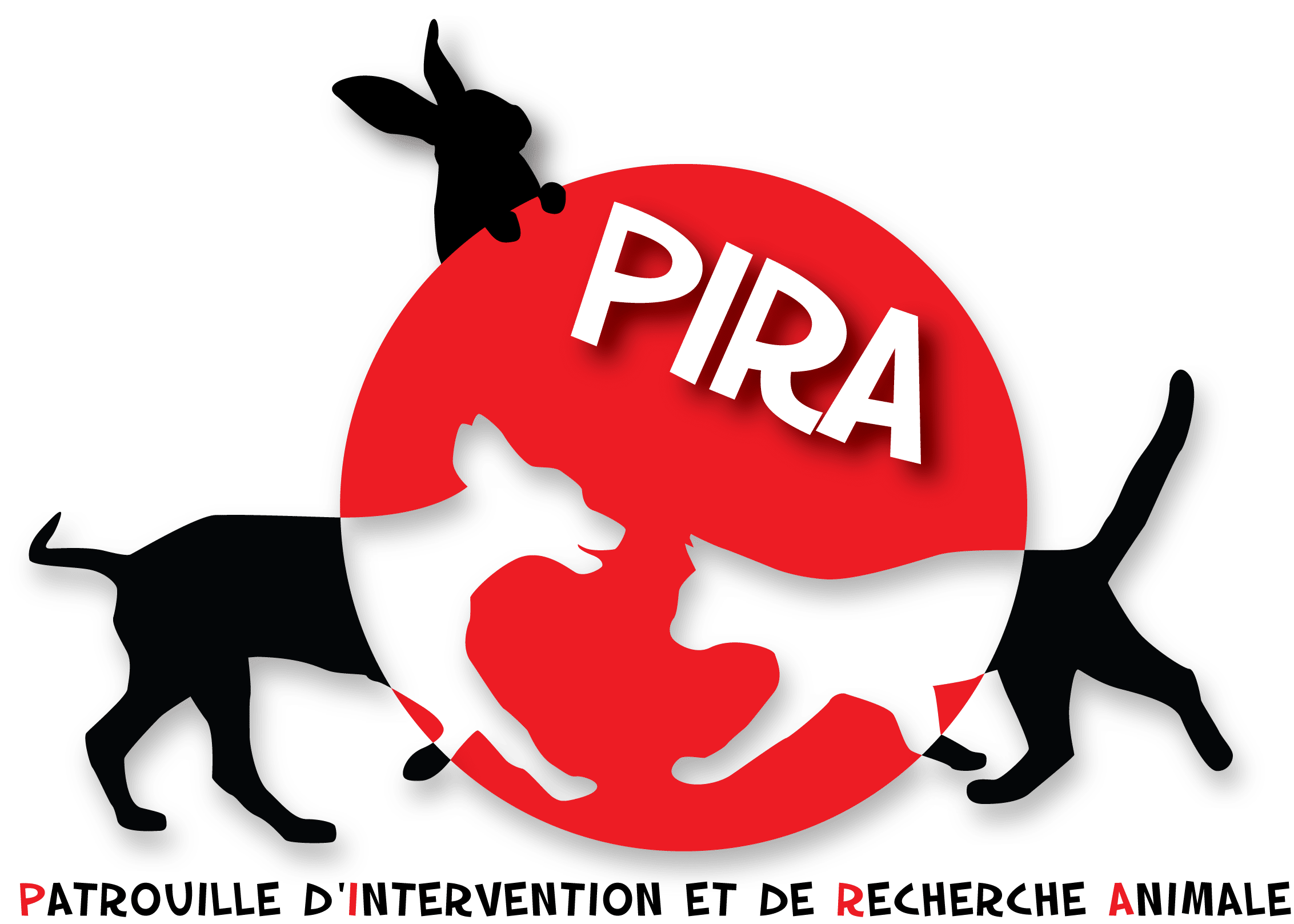 L'Image Du Produit